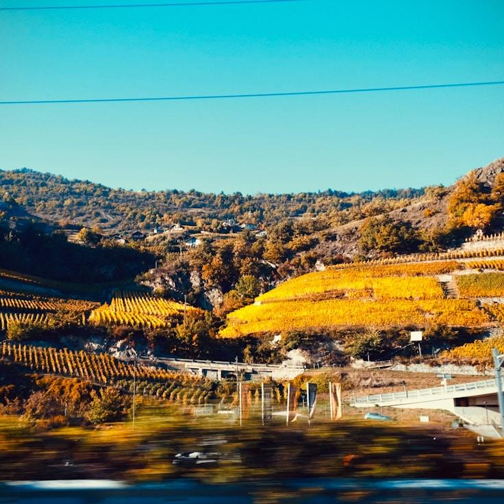 Outdoor terrace seating suitable for families in Zurich